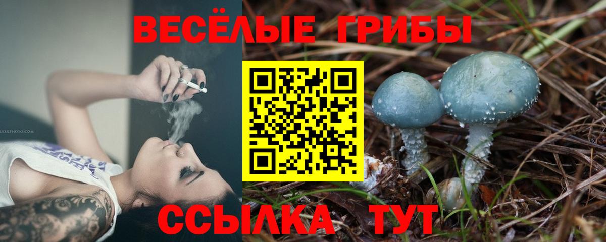 Галлюциногенные грибы Psilocybe  купить   Златоуст  Вход с VPN 